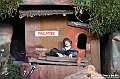 VBS_7025 - Presepe Meccanico di Nonna Rosi 2024